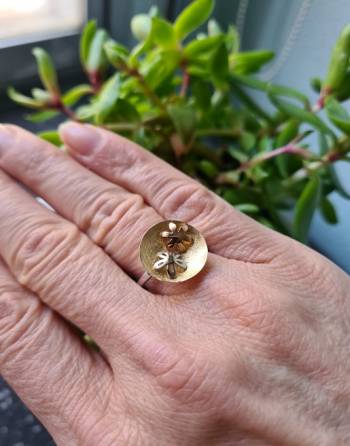 Anillo Jazmín oro tricolor...